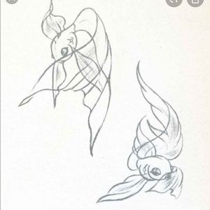 Meet your Posher, Andina